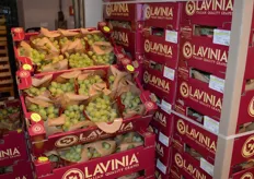 Rudolf Leimer heeft momenteel pitloze Italiaanse druiven van het merk Lavinia.
