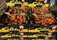In Lomme is een groot aanbod aan citrus