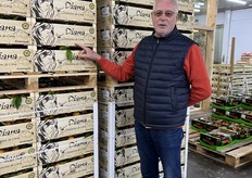 Sterk aanbod in clementines