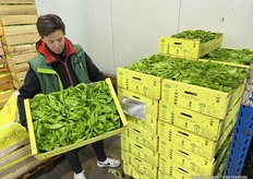 Een zeer ruim aanbod van producten, ook in groenten