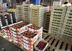 Gespot: Aardbeien uit Hoogstraten