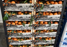 Mooie presentatie van clementines