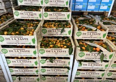 Ook een groot aanbod aan biologische producten