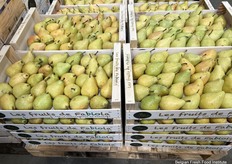 De Belgische koningin van de peren.....