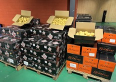 Het goud uit de grond in mooie bedrukte kartonnen dozen