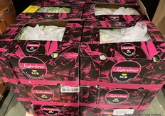 Suprême aanbod van Compagnie Fruitiere 