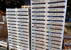 Kleurrijke houten kisten