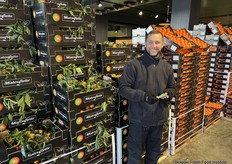 Bij deze verkoper zowel natuurlijk en weelderig blad als strakke presentatie in de doos