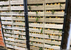 Ambachtelijke houten kisten