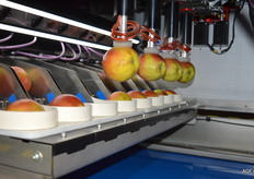 De nieuwste aanwinst van Sorma Benelux: de Aporo machine om automatisch pakbladen te vullen met appelen