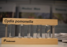 De cycli van de fruitmot in beeld, vanaf het moment dat het beestje nog bijna onzichtbaar is, is hij al schadelijk voor fruit