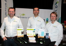 Minne Batenburg, Johan Swart en Hessel van der Veen van De Groene Vlieg.