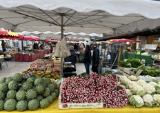 Kleurenspel van artisjok, radijs en bloemkool