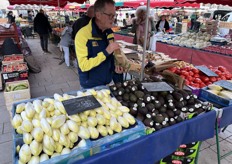 Witlof steekt mooi af naast tomaten en avocado