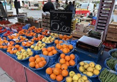 Kiloschaaltjes fruit