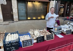 Diverse paddenstoelen en reuzenchampignons