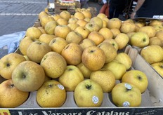 Direct uit de Pyreneeën 