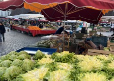 Opvallende andijviesla