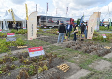 Proefveldjes horen er echt bij op Potato Europe.