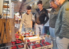 Kwaliteit werd kritisch bekeken, hier inspecteren Gijs, Mark, Cees en Harmen de aardbeien bij Landmarkt