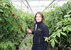 Clara Spruyt van PC Fruit