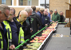 Filelopen langs de appels en peren