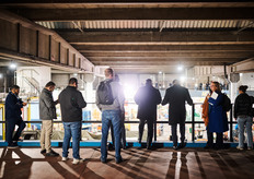 Een mooi gezicht zo in de nacht