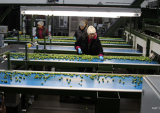 Medewerkers controleren de automatische selectie nog een keer handmatig