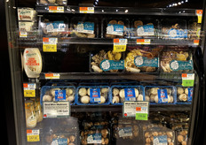 Gewone en exotische paddestoelen