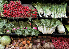 Kleurrijk: radijs, gekleurde en rode bieten, wilde spinazie, paksoi, stengelui, witte kool en chinese kool