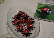 Beestjes, beestjes en nog meer beestjes