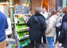 Het kleurenpalet Koppert Cress