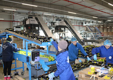 Ook in de in- en ompakruimte is er al volop bedrijvigheid