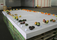 De producttafel citrus en exoten, klaar voor een kritische keuring