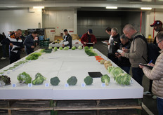 Wordt het klasse I of II?