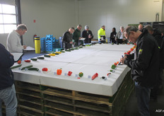 Deze mannen weten precies hoe krom een aubergine mag zijn en welk vlekje is toegestaan