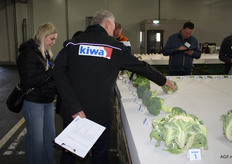 Docent Frans Isbouts van Kiwa bij de broccoli