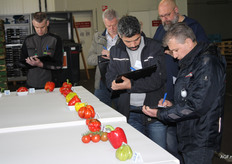 Joekels van paprika's en doffe trostomaten, maar welke classificatie krijgen ze?