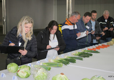 Bosuien in diverse soorten en maten