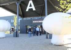 Je hoefde je niet af te vragen waar de ingang van de Champignondagen was