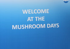 3 dagen lang was de Brabanthallen het decor van de champignonwereld