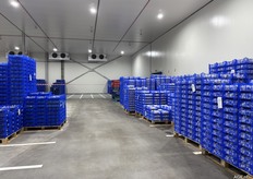 Grote moderne koelcel.