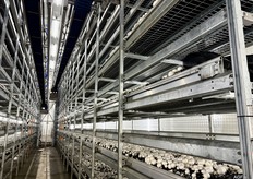 Er wordt effecienter geoogst doordat er 14 verdiepingen zijn. Het totale teelt oppervlakte is 9450m2.