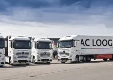 Nieuwe vrachtwagens in het wit als aanvulling op de bestaande vloot.