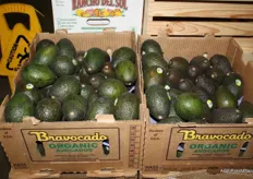 Biologische avocado's