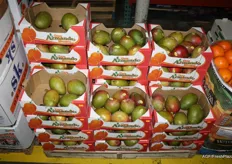Mango's onder het Don Armando-merk