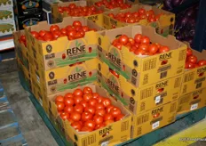 Tomaten onder het merk Rene