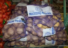 Industrie-aardappelen
