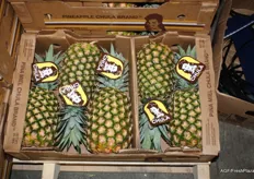 Grote ananas