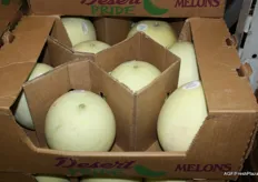 Desert-melons